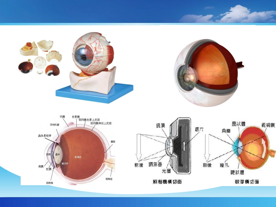 眼视光器械学_第3页