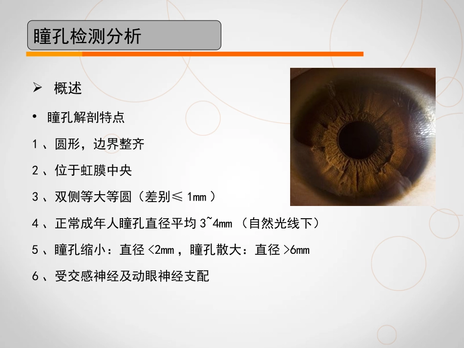 眼视光学理论与方法课件视功能基本检查瞳孔_第3页