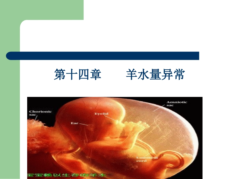 羊水异常讲课_第1页