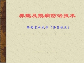 养鹅及鹅病防治技术