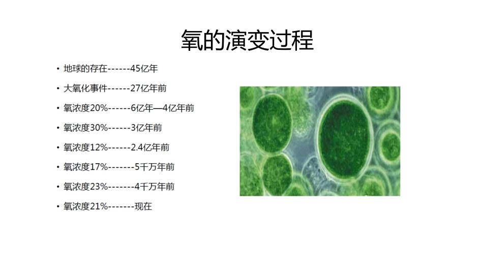氧疗基础知识简介_第3页