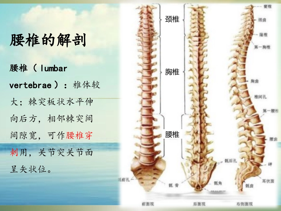 腰椎骨折病人的护理_第3页
