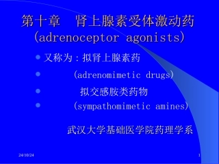 药理学肾上腺素受体激动药学习