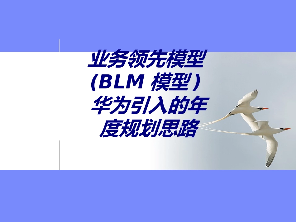 业务领先模型BLM模型华为引入的年度规划思路专题培训课件_第1页