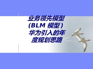 业务领先模型BLM模型华为引入的年度规划思路专题培训课件