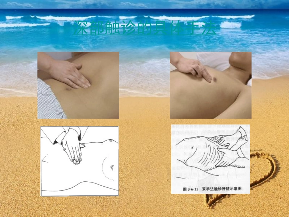 一般体格检查及头颈部体格检查_第3页
