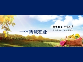 一体智慧农业