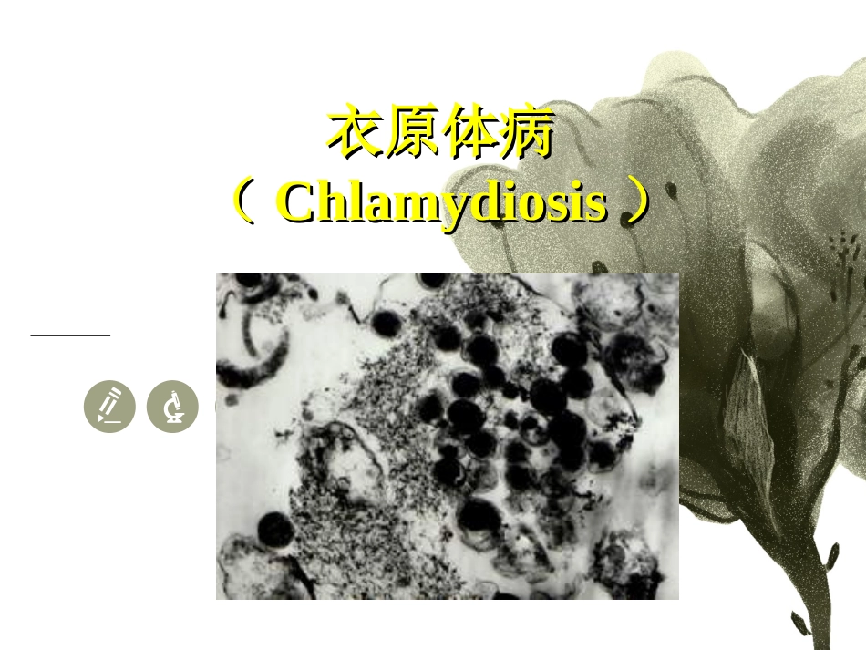 衣原体病专题_第1页