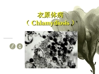 衣原体病专题