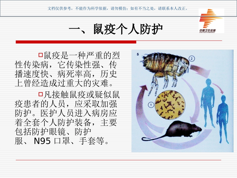 医务人员鼠疫防治培训课件_第1页