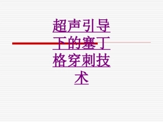 医学超声引导下的塞丁格穿刺技术专题课件