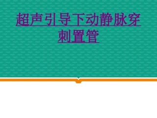 医学超声引导下动静脉穿刺置管专题课件