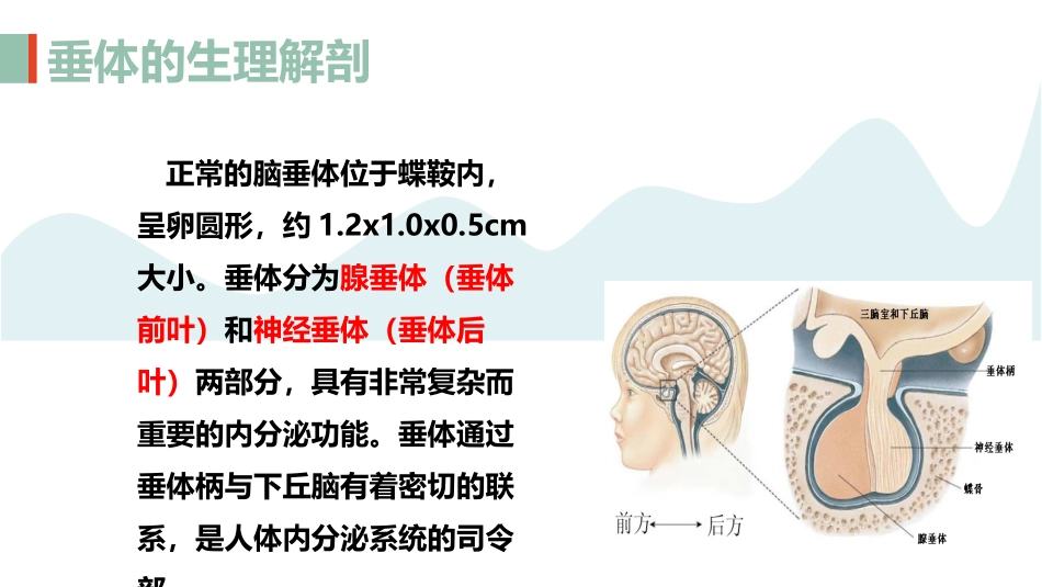 医学垂体瘤术后护理查房培训课件_第3页