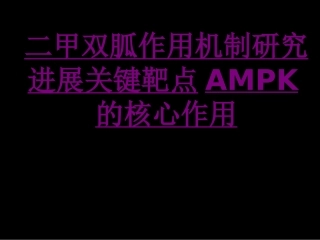 医学二甲双胍作用机制研究进展关键靶点AMPK的核心作用培训课件