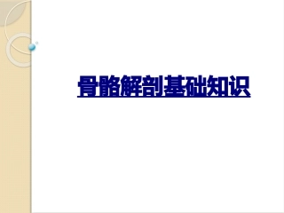 医学骨骼解剖基础知识课件