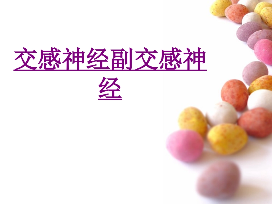医学交感神经副交感神经培训课件_第1页