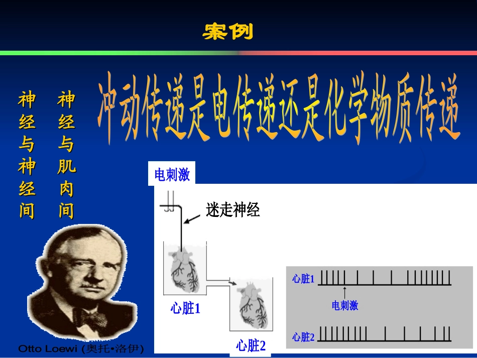 医学交感神经副交感神经培训课件_第2页