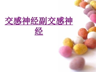 医学交感神经副交感神经培训课件