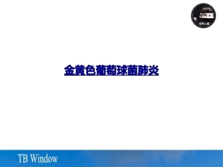 医学金黄色葡萄球菌肺炎课件