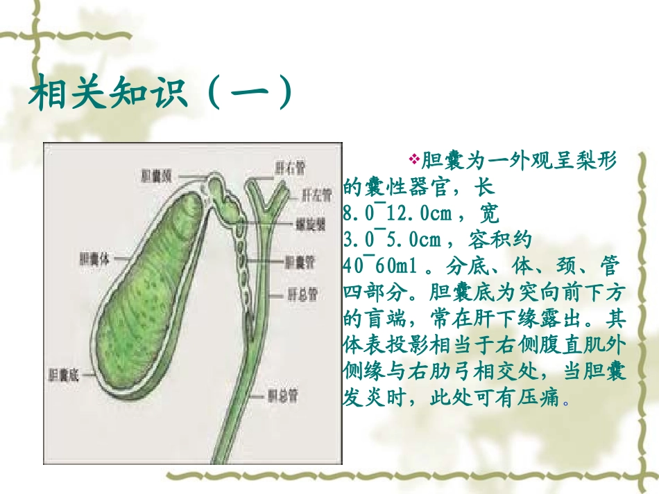 医学课件腹腔镜胆囊切除术_第1页