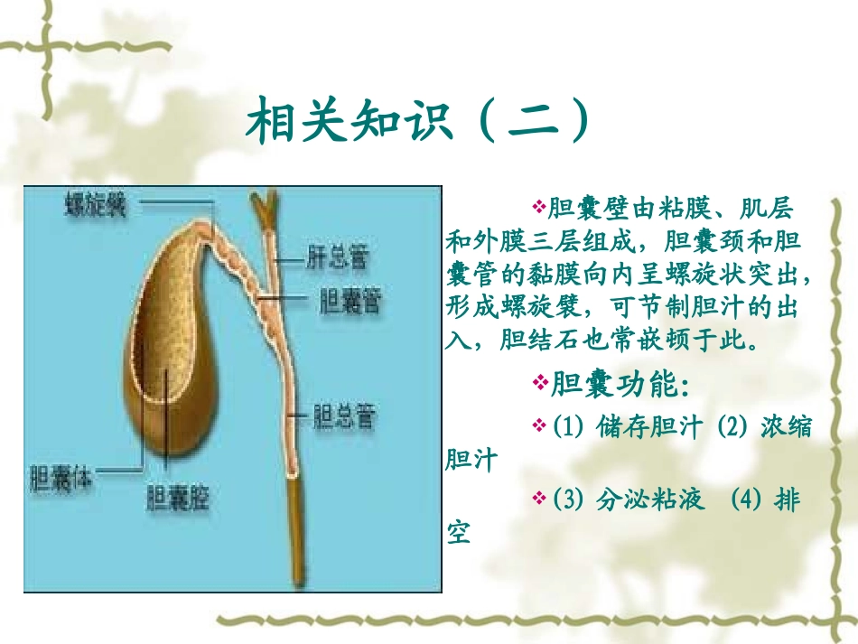 医学课件腹腔镜胆囊切除术_第3页