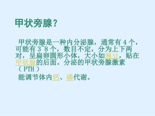 医学课件甲状旁腺疾病的超声诊断