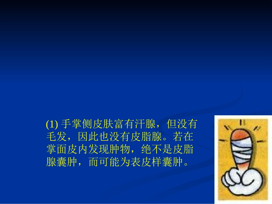 医学课件腕部手部解剖_第3页