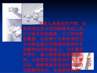 医学课件腕部手部解剖