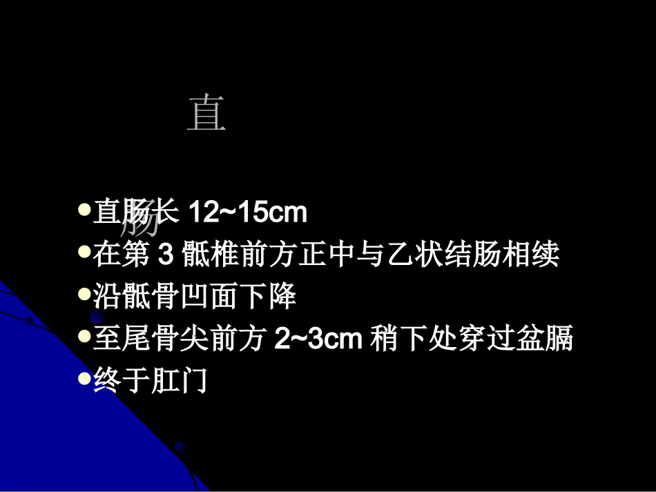 医学课件直肠肛管解剖_第2页