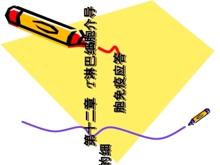 医学免疫学T淋巴细胞介导的细胞免疫应答