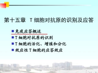 医学免疫学T细胞介导的细胞免疫应答