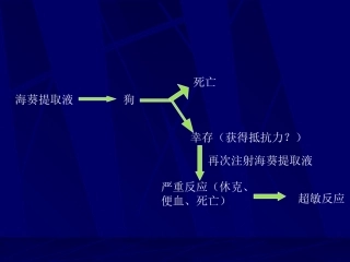 医学免疫学超敏反应powerpoint