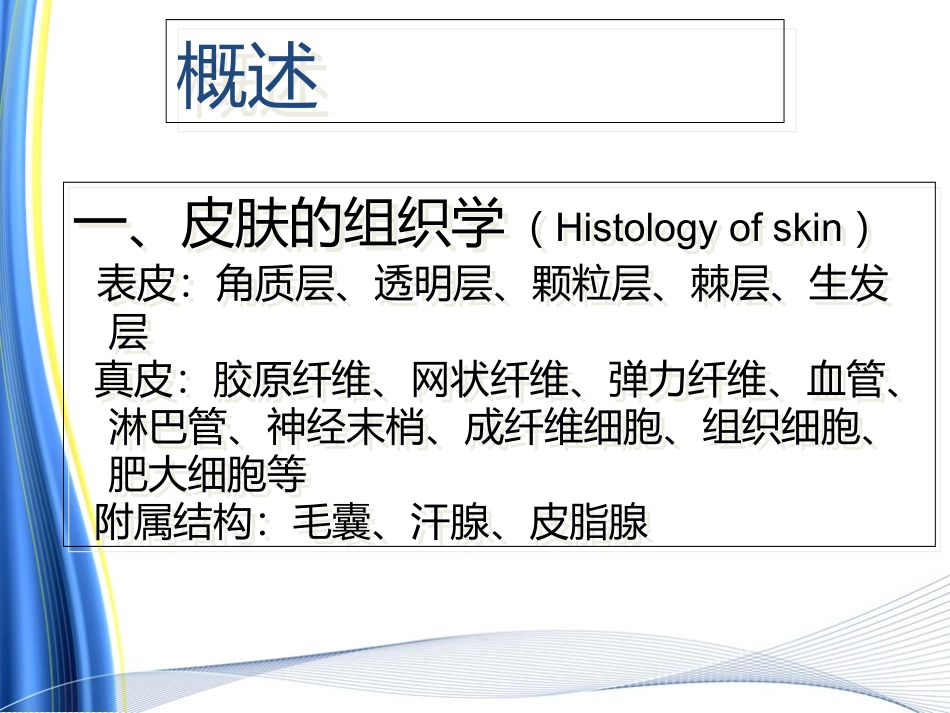 医学皮肤移植植皮术专题课件_第2页