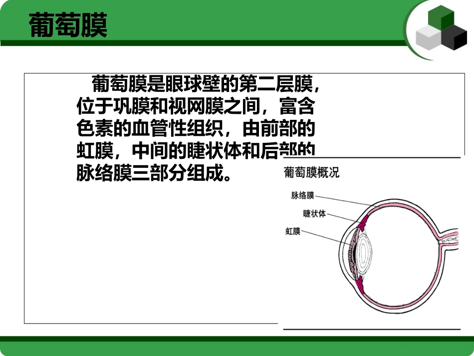 医学葡萄膜炎医疗护理查房_第2页