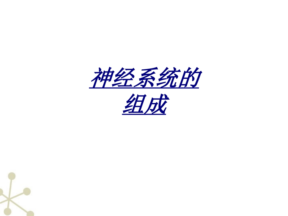 医学神经系统的组成_第1页