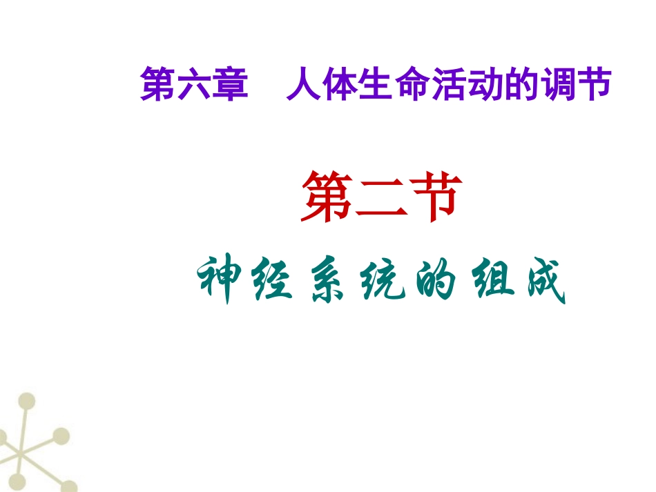 医学神经系统的组成_第2页
