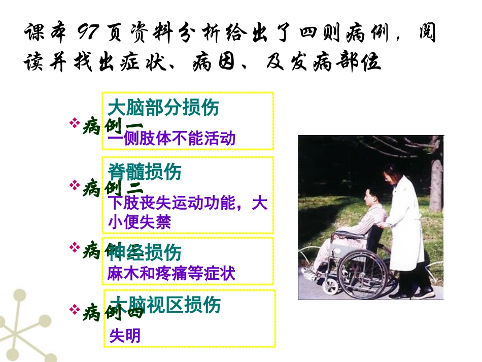 医学神经系统的组成_第3页