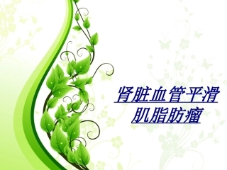 医学肾脏血管平滑肌脂肪瘤