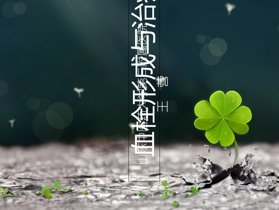 医学血栓形成和抗栓治疗专题课件_第2页