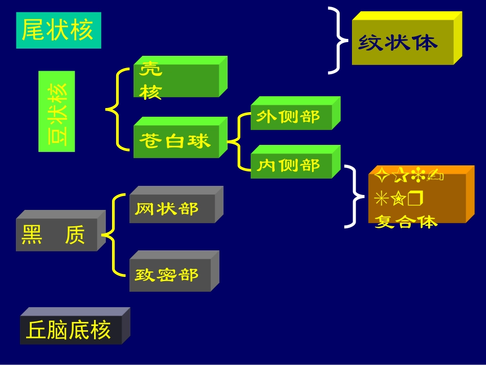 医学锥体外系疾病课件_第3页