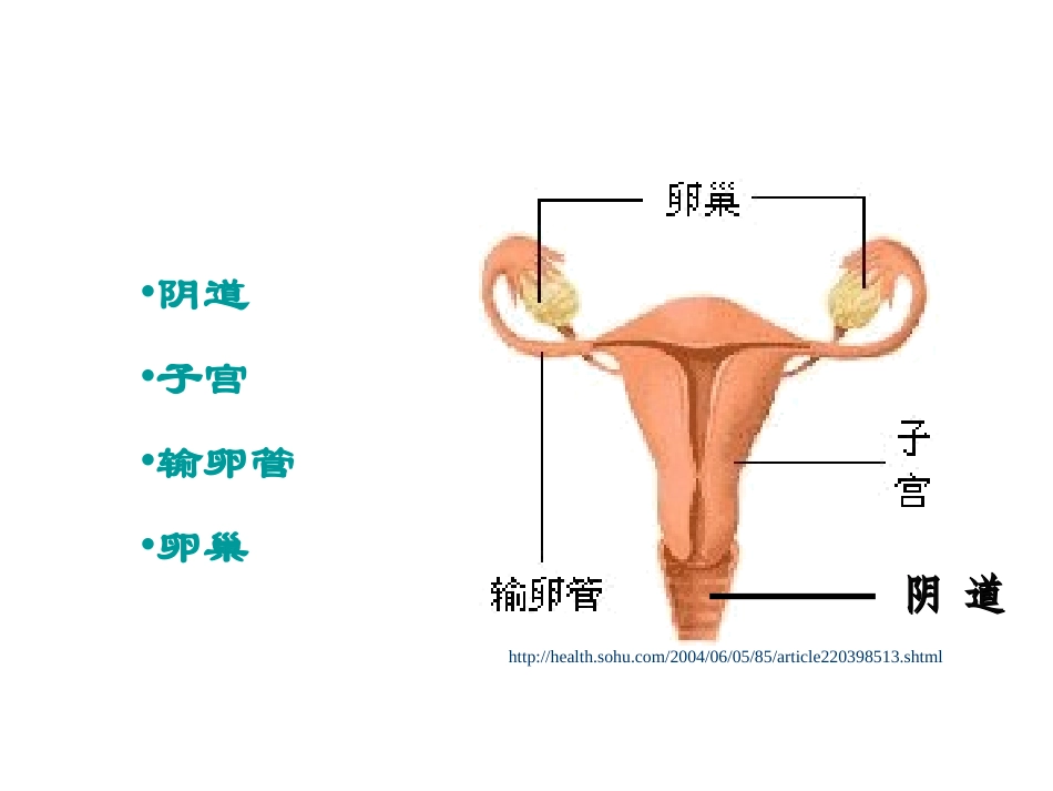 医学子宫和附件解剖和生理_第2页