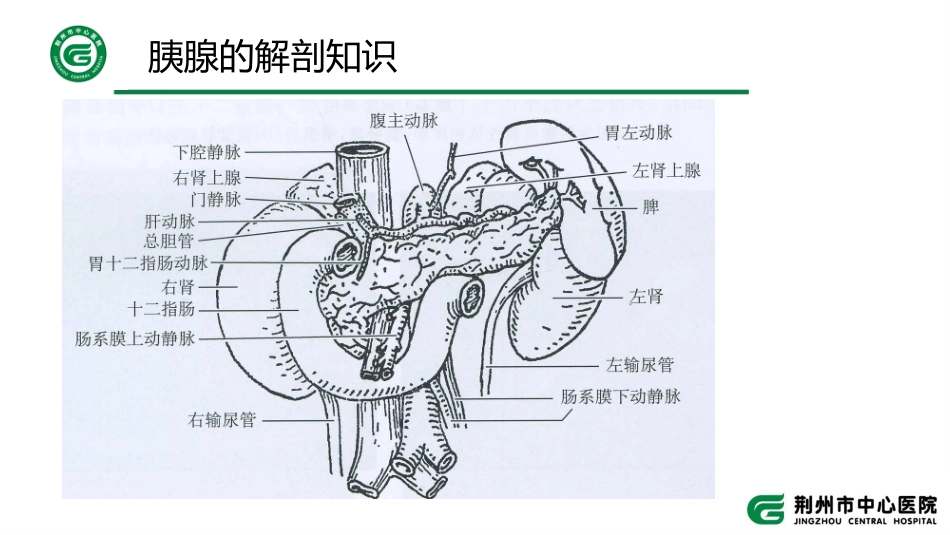 胰腺假性囊肿护理查房_第3页