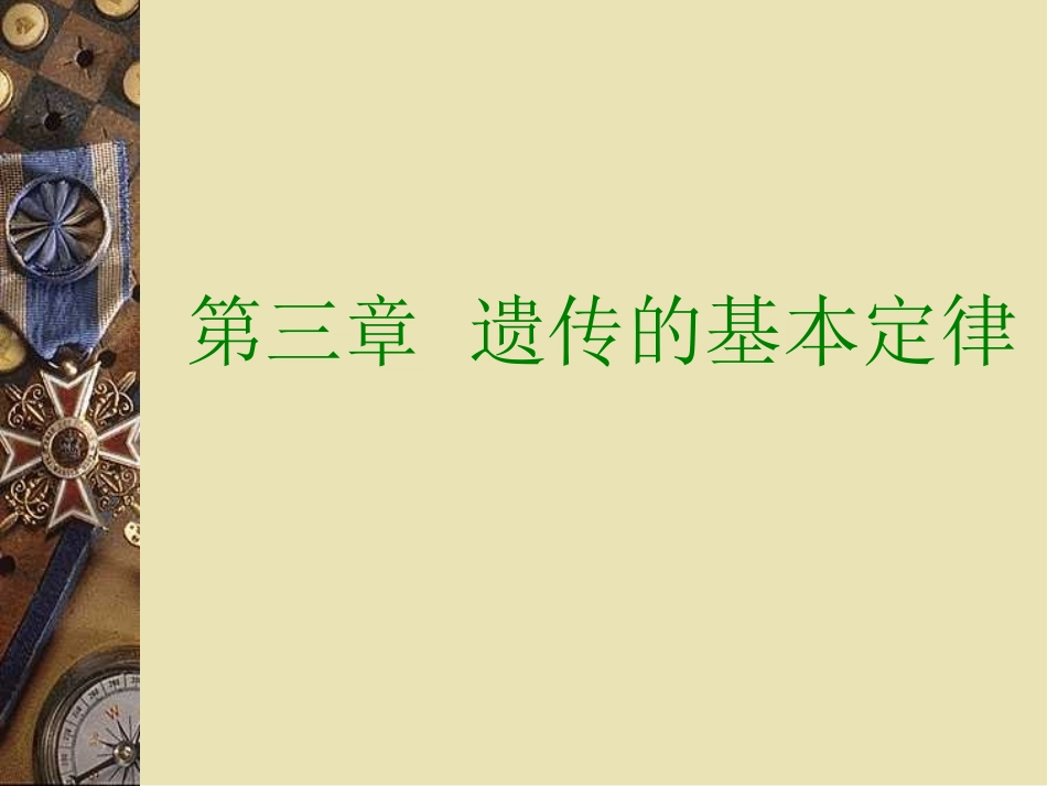 遗传的基本定律精_第1页