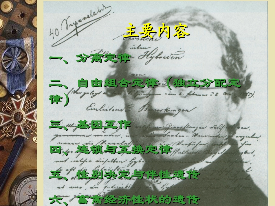 遗传的基本定律精_第2页