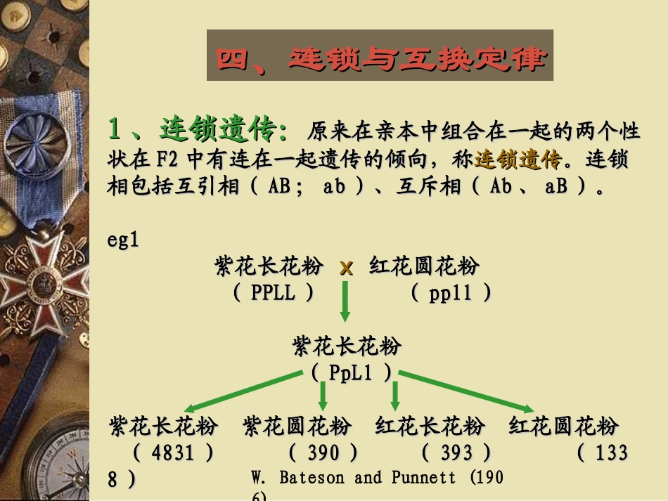 遗传的基本定律精_第3页