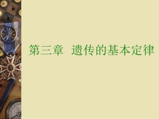 遗传的基本定律精