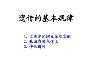 遗传的基本规律