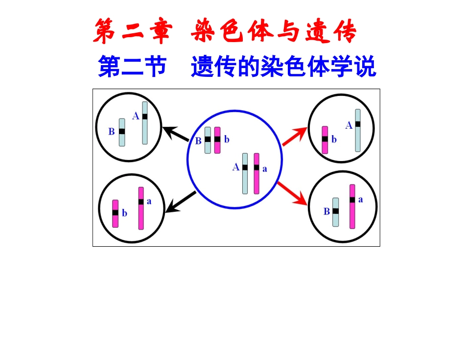 遗传的染色体学说_第1页