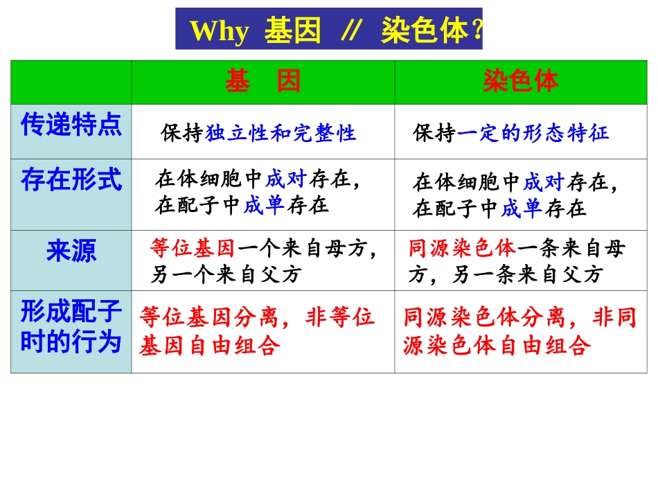 遗传的染色体学说_第3页