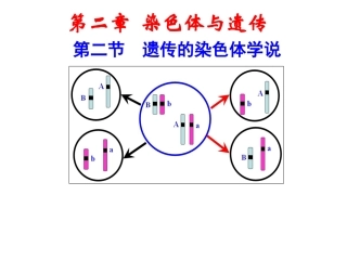 遗传的染色体学说